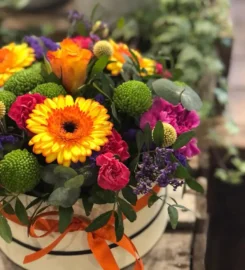 Stems Florist