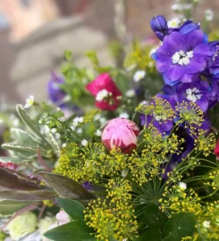 Stems Florist