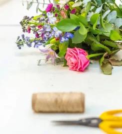 Stems Florist