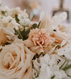 Victoria Ann Bridal